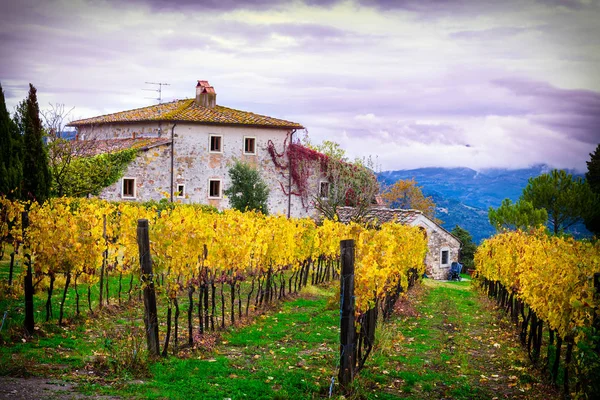 Vineyard cottage in Tuscany — Stock Photo, Image