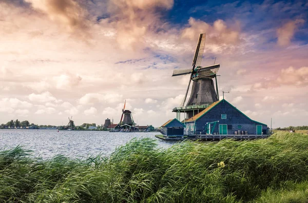 Zaanse Schans'a, Amsterdam, Hollanda Hollanda yel değirmenleri