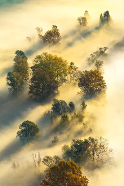 Dimma och dimma som flödar genom träden i dalen Adda — Stockfoto