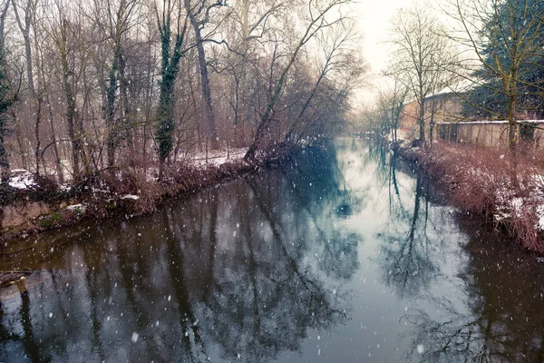 Las últimas nevadas de invierno en el Parque de Monza, Italia — Foto de Stock