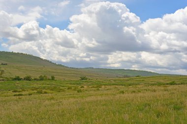 Milli Parkı nın bir parçası