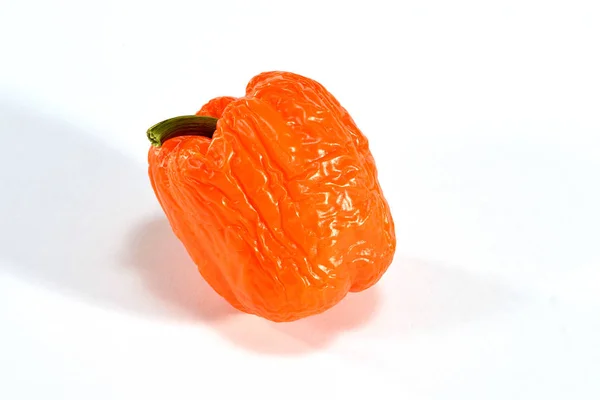 Vecchio peperone rugoso o Capsicum frutta con gambo verde isol — Foto Stock