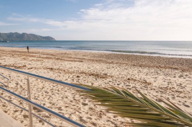 Metal bir tırabzanın tepesindeki palmiye yaprağı Cala Millor (Mallorca adası) plajına erişim sağlar. Poseidonia kalıntılarıyla dolu boş bir plaj ve köpeği sırtında gezdiren bir kadın.