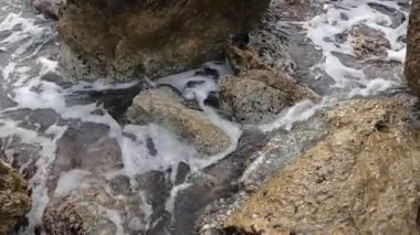 Akdeniz sahilinde dalgakıran boyunca yürüyorum. Uçan kuşlar ve hareket. Pere Antoni plajı, Mallorca adası, İspanya