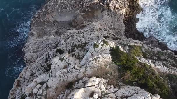 Αεροφωτογραφία Ακτή Μαγιόρκα Μεσογειακή Θάλασσα Ισπανία — Αρχείο Βίντεο