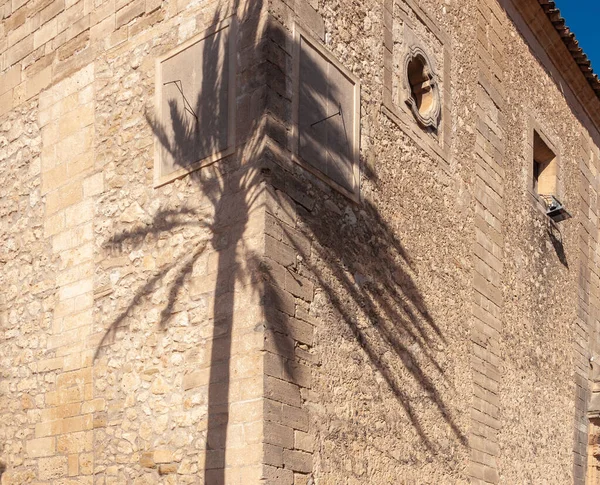 一棵棕榈树的阴影投射在一座历史建筑上 西班牙马略卡岛 — 图库照片