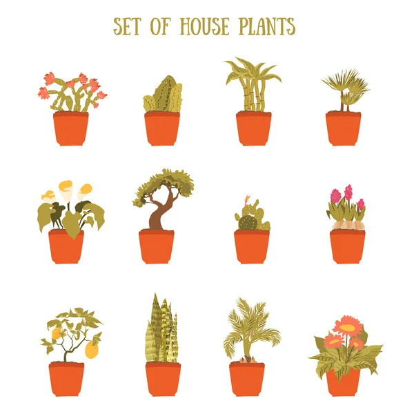 Planta en un conjunto de vector de maceta, elemento decorativo para la decoración del hogar. Colección de plantas aisladas . — Vector de stock