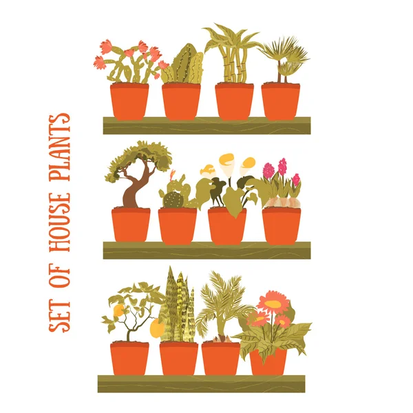 Planta en un conjunto de vector de maceta, elemento decorativo para la decoración del hogar. Colección de plantas aisladas . — Vector de stock