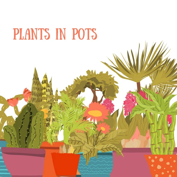 Colección de plantas y flores de interior en macetas. Estilo de dibujos animados. Cactus verdes, suculentas — Vector de stock