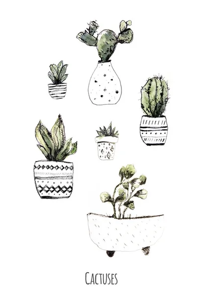 Cactus de acuarela. Fondo de flores de cactus. Moderna tarjeta de arte casero rústico para el diseño de impresión. Conjunto suculento grunge. Ilustración de moda con planos de casa en maceta — Foto de Stock