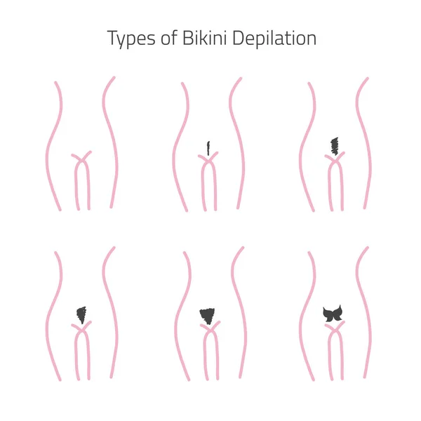 Bikini Wax Vs Brazilian Wax Difference Pictures - Bikini wax, Bikinis, Brazilian  waxing