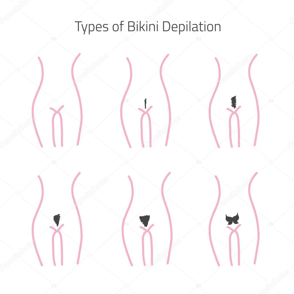 Types of bikijni hair removal in flat linear style. Can be used for infographics, banners