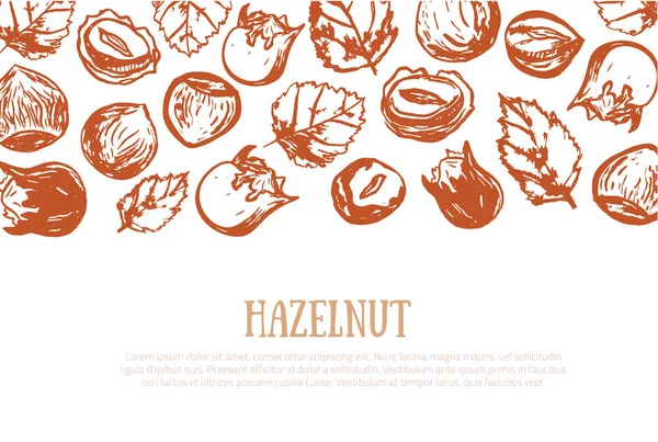 Hazel nut grunge banner. Isolerade hasselnötter hälsosam mat webbplats header. Naturliga valnöt mellanmål med blad. Ekologiska kollektion — Stock vektor