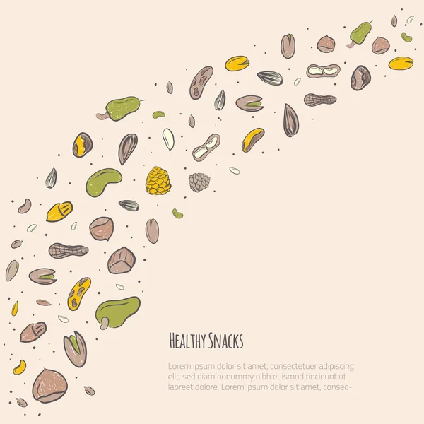 Fındık gıda afiş ile fındık, ceviz, çam fıstığı, ceviz, fıstık. Promosyon, logo, simgesi tasarım için sağlıklı elle çizilmiş aperatif koleksiyonu