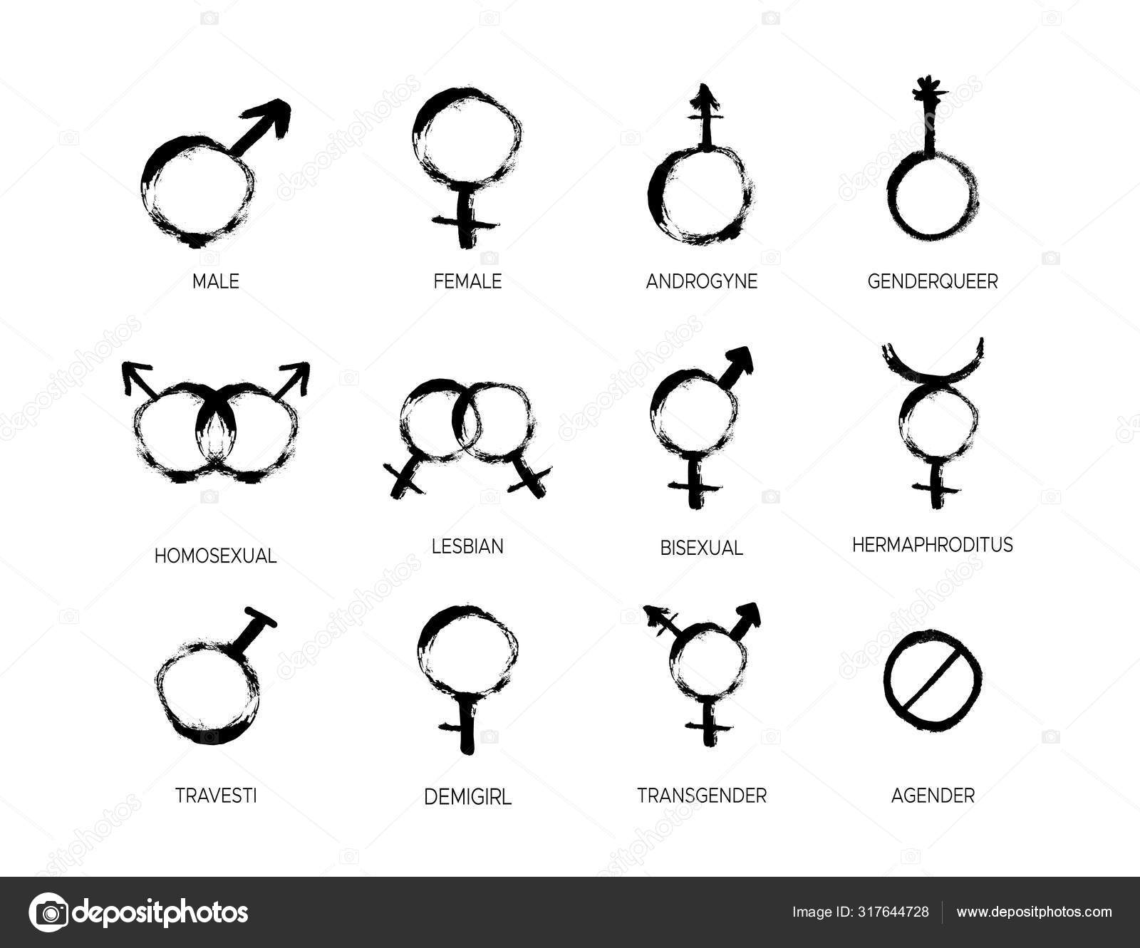 Grunge Gender Icon Set With Different Sexual Symbols Female Male Bisexual Agender Transgender Mars And Venus Signs Vector Image By C Alena St Vector Stock