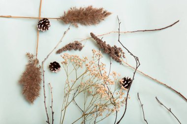 Mavi arkaplanda kuru brançlar