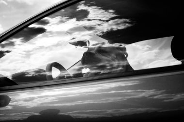 Black and white photo of Cadebo breed dogs in a car with sky reflection clipart