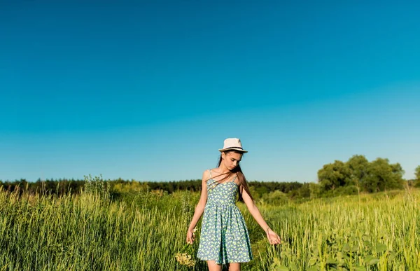 A girl in a blue dress with a tall grass walking the field and touching her hand of the spikelets — Stock Photo, Image