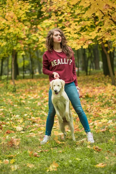 Şirin golden retriever köpek ile gülümseyen güzel kadın