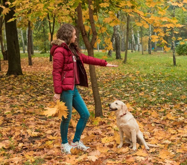 Belle femme souriante avec chien golden retriever mignon — Photo
