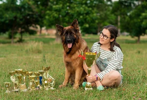 Campeão pastor alemão na grama com medalhas de ouro — Fotografia de Stock