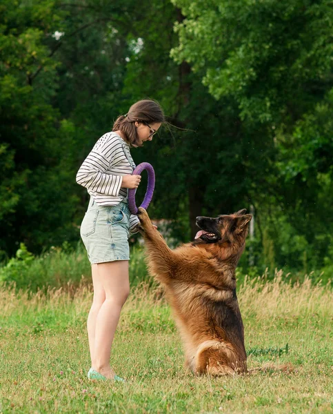 Mulher treinando seu cão Golden Retriever no parque — Fotografia de Stock