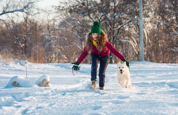 Joven mujer trenzado con golden retriever en invierno caminar . — Foto de Stock