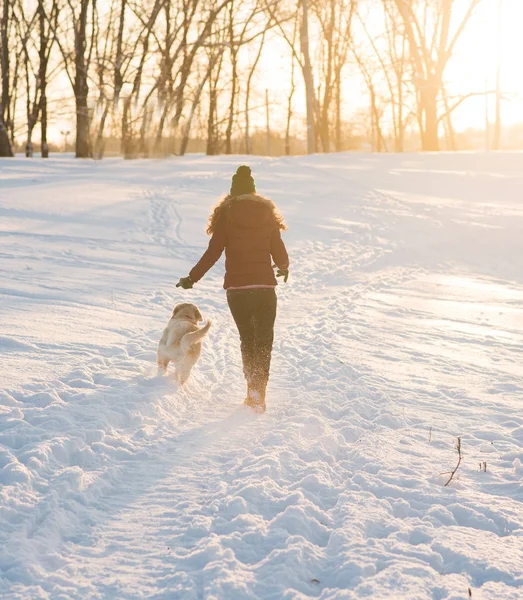 Retrato de una joven con perro en una caminata de invierno . — Foto de Stock