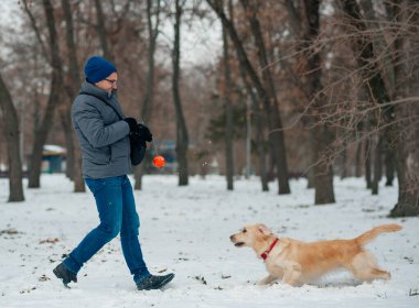Köpek golden retriever ile oynayan bir adam.