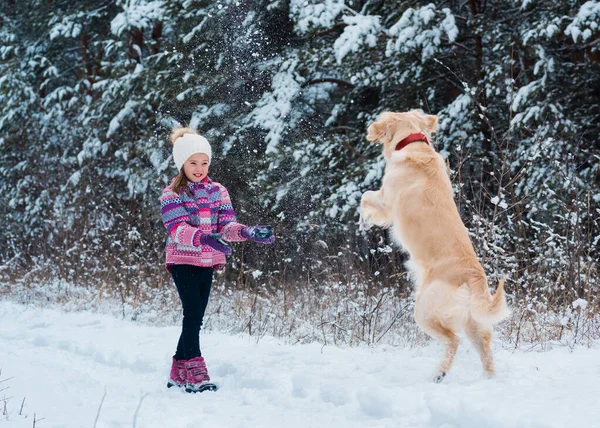 Beyaz şapkalı genç kız portresi kış mevsiminde köpeğiyle aktif oyun oynuyor.