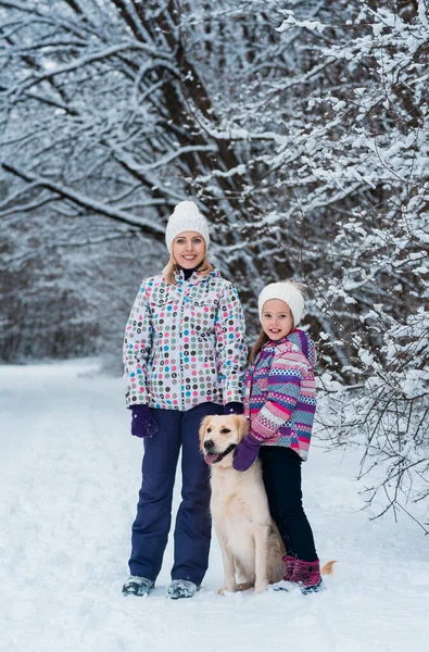 Familia jugando con su mascota en vacaciones de Navidad en bosque congelado — Foto de Stock