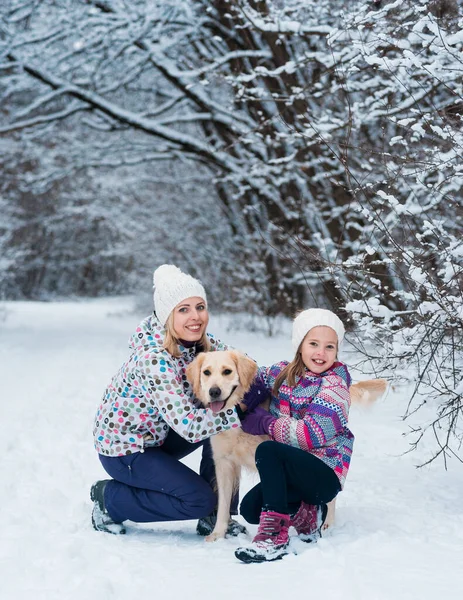 Familia jugando con su mascota en vacaciones de Navidad en bosque congelado — Foto de Stock