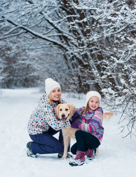 Family playing with his pet on Christmas holidays in frozen forest Stock Picture