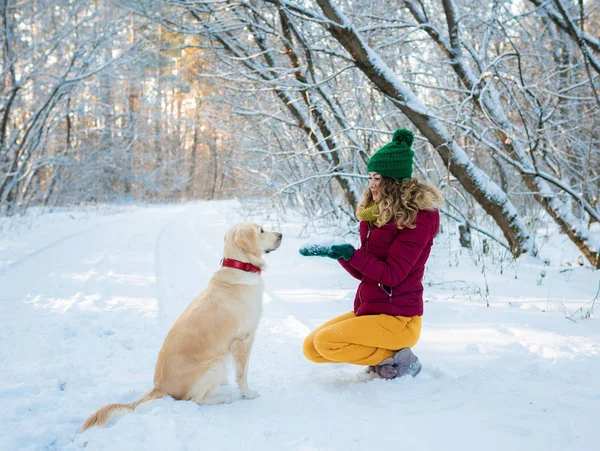 Mujer joven jugando perro perdiguero de oro en la nieve — Foto de Stock
