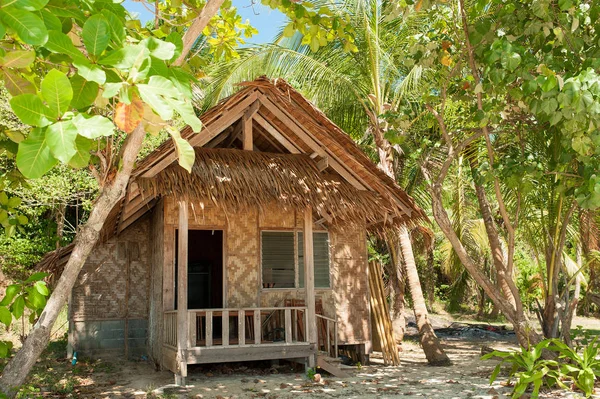 Wooden house near the beach in jungle with palms
