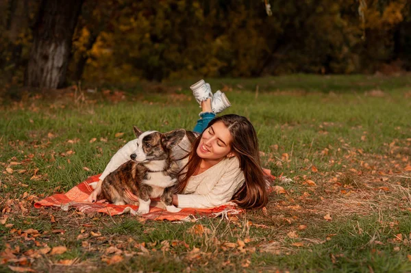年轻女子，带着她的狗在秋天的色彩背景 — 图库照片