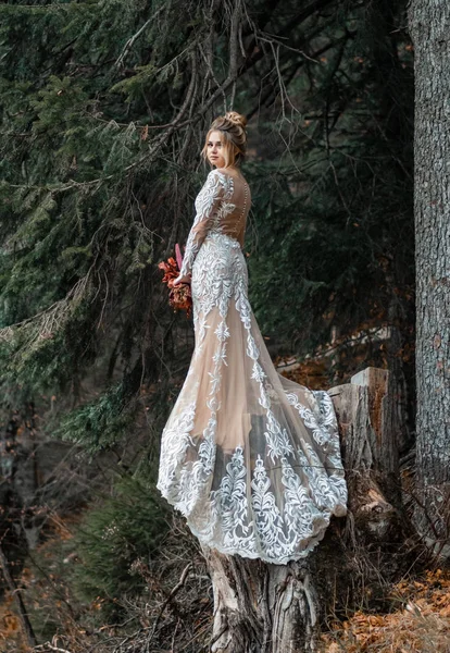 Braut in hellem Chiffon-Brautkleid posiert in der Nähe der Berge — Stockfoto