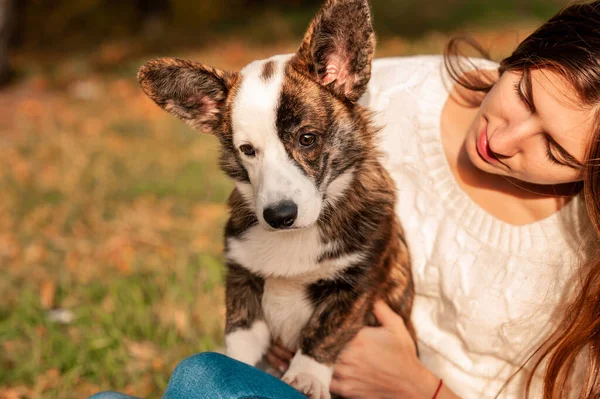 Счастливая Женщина Вместе Валлийской Собакой Корги Парке Открытым Небом Молодая — стоковое фото