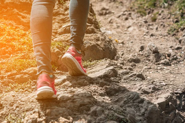 Walking or running legs on mountain road, adventure and exercising in summer nature. Runner girl jogging feet closeup running shoes banner panorama. Lifestyle adventure vacations concept