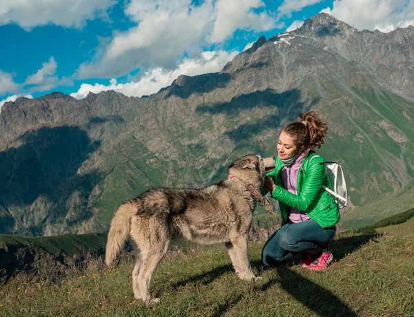 Genç dişi ve köpek birlikte dağ manzarasının tadını çıkarıyorlar.