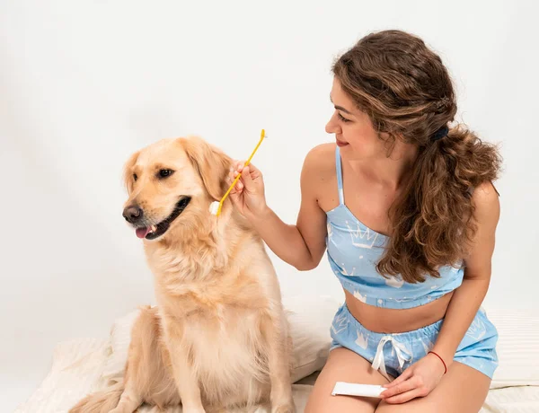 Kręcone Młoda Kobieta Piżamie Przygotowuje Się Mycia Zębów Golden Retriever — Zdjęcie stockowe