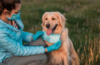 Büyük Golden Retriever köpeğini doğa parkında tıbbi bir maskeyle koronavirüsten korumaya çalışan bir kız. Salgın hastalık ve salgınlara karşı korunma. Covid 19
