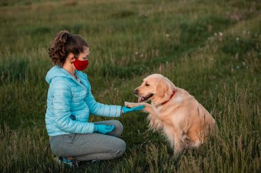 Tıbbi korumalı yüz maskesi takan kadın köpekleri dezenfekte ediyor. Beyaz arka planda maskeyle kameraya bakan bir köpek gülümsemesi. Evcil hayvan hijyen kavramı