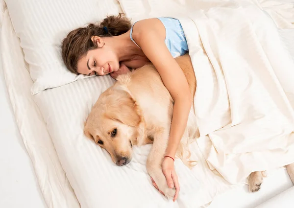 Dişi kadın, güzel labrador av köpeğiyle beyaz yatakta uyuyor. Evcil hayvan terapisi, sarılma etkinliği. Evde kal.
