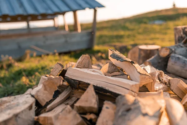 Högen Med Ved Ligger Skogslandskapet Närbild Staplade Ved Nära Vedbod — Stockfoto