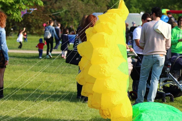 Vulandra 2017. Exhibition of kites — Stock Photo, Image