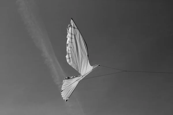 Tentoonstelling van vliegers — Stockfoto