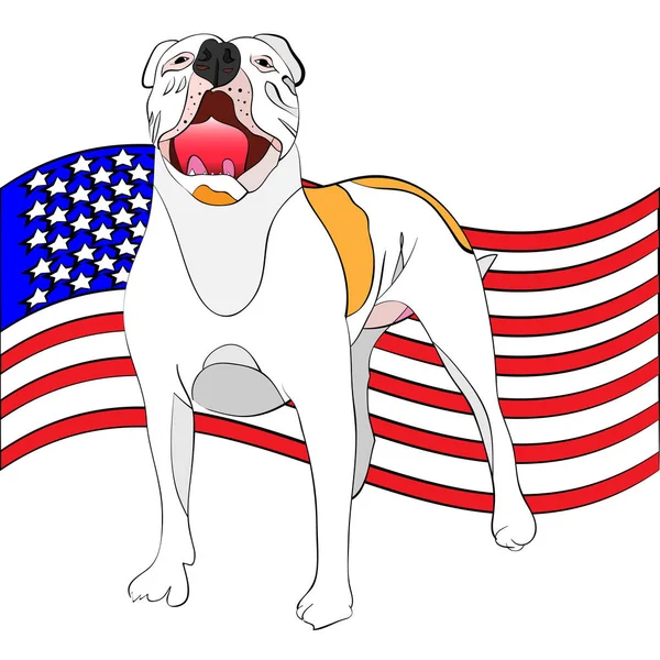 Bulldog americano gigante frente a una bandera americana — Vector de stock