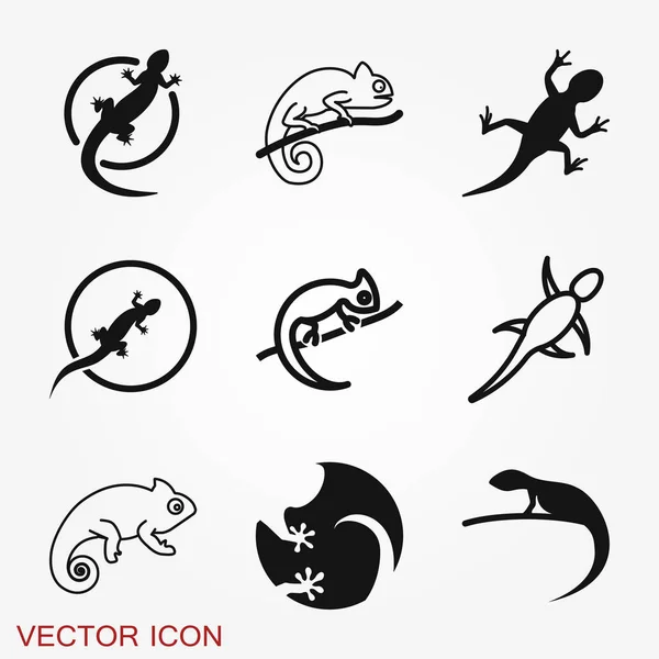 Vector Lizard icon on white background, Vector gecko — Stockový vektor