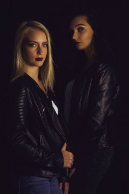 Kitap kapağı. İki güzel vampir kız